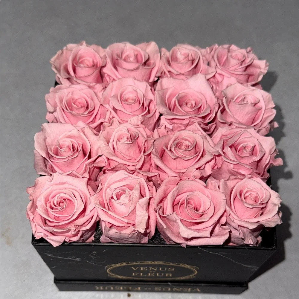 Venus Et Fleur Pink Roses in Black Box - Picture 8 of 9